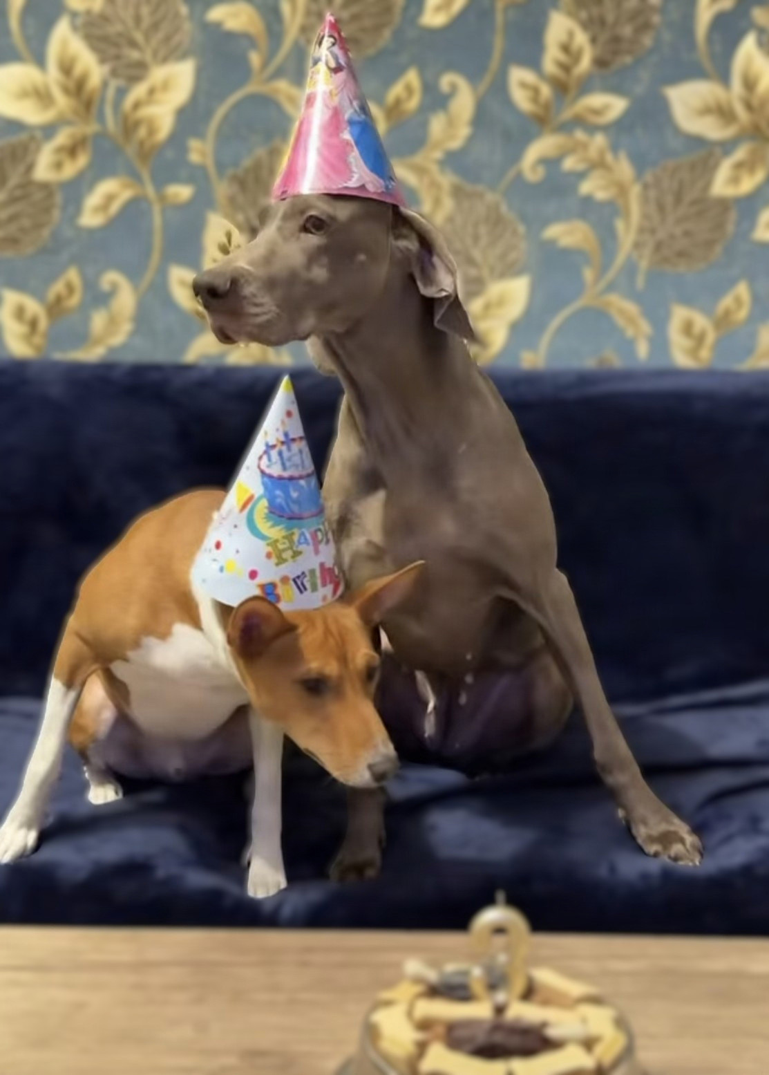 September 24 brings famous birthdays, Libra energy, and one very important birthday boy.
