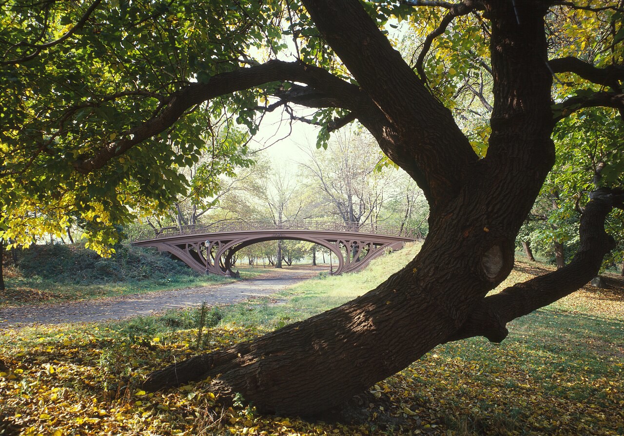 The air grows crisp, squirrels scurry, and the scent of pumpkin fills the breeze. Fall is here, bringing cooler walks, new smells, and plenty of treats—if you know where to look!