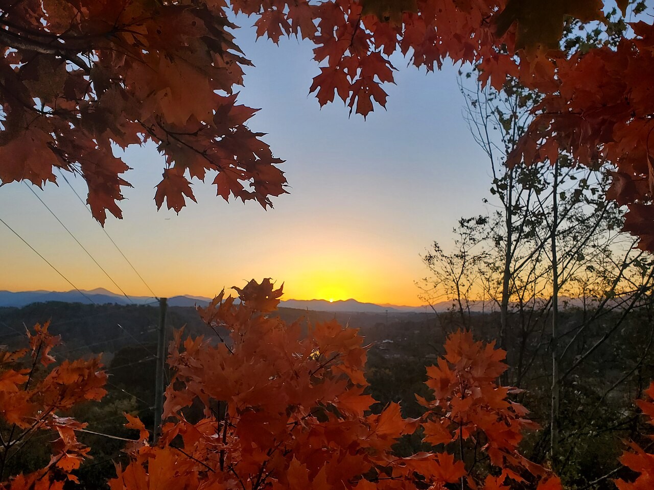 As the leaves turn crunchy and the squirrels panic, humans are stockpiling socks - but why? Plus, the real reason pumpkins are orange and how to outsmart a ‘trick-or-treat’ bag full of raisins.